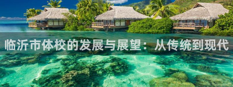 成都金熊猫体育