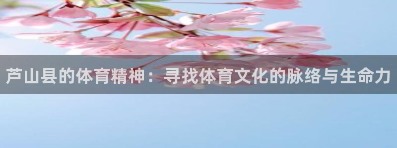 熊猫体育nba