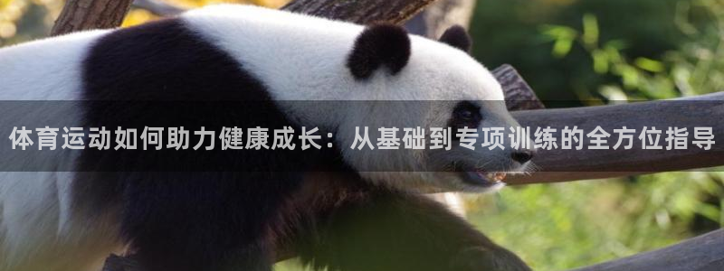 熊猫体育直播nba