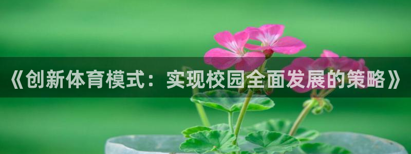 熊猫体育比赛直播