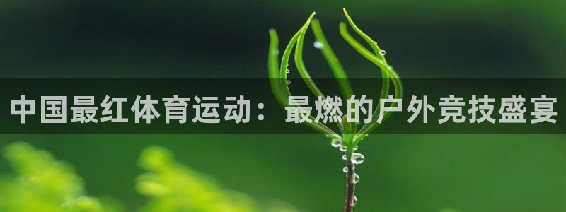 熊猫体育官方网站