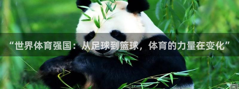 中山熊猫体育