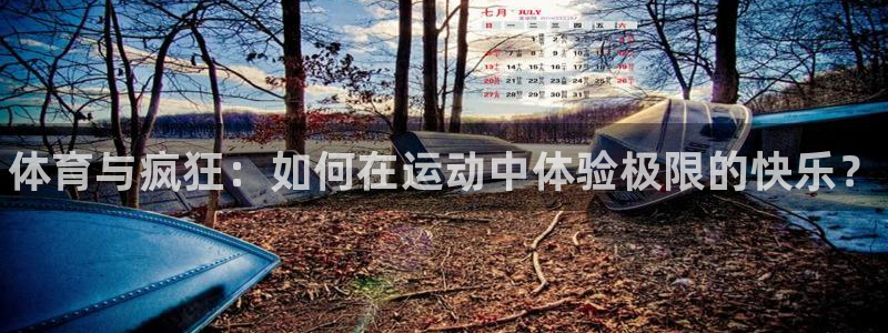 熊猫体育手机版