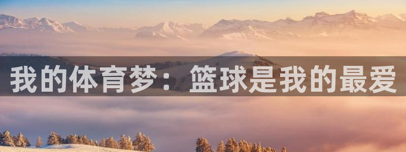 中山熊猫体育