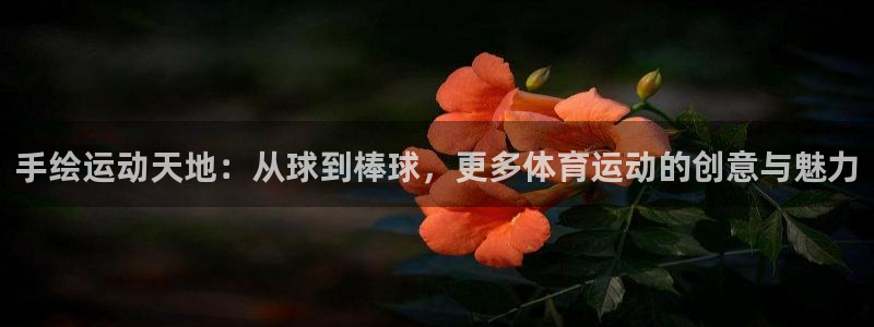 熊猫体育app下载安装
