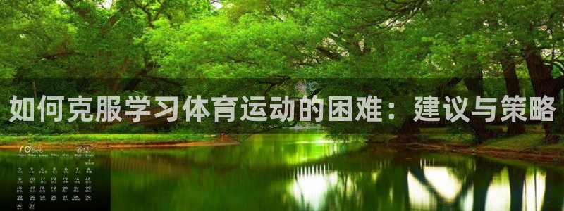 熊猫体育平台官网