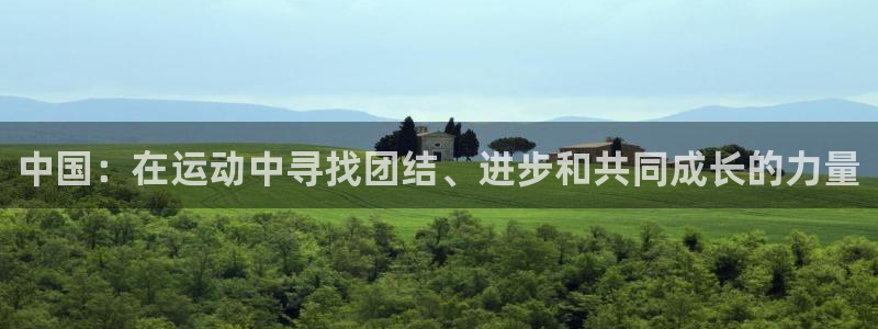 成都金熊猫体育