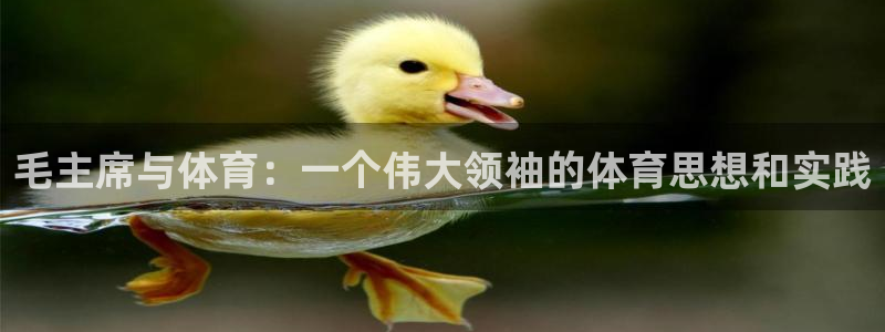 熊猫体育手机版