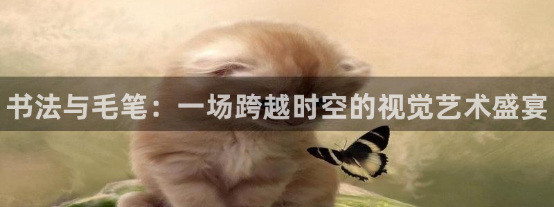 成都金熊猫体育