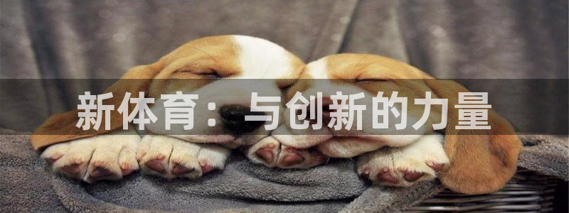 熊猫体育怎么样