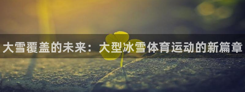 熊猫体育网址