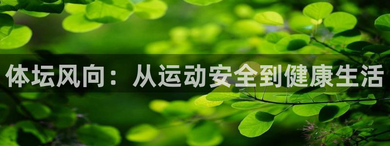 熊猫体育平台官网