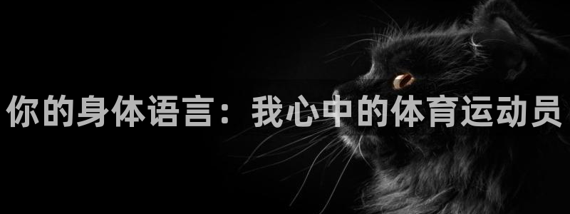 熊猫体育比赛直播