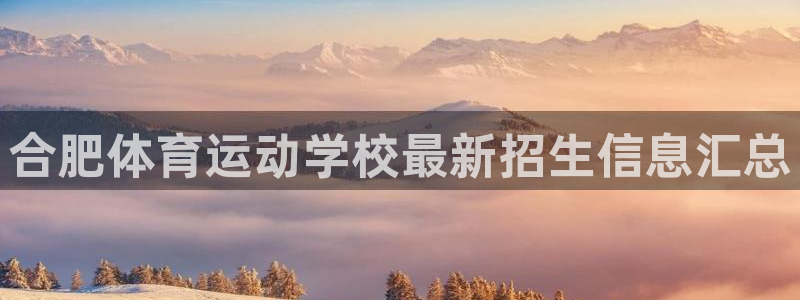 熊猫体育app官方下载最新版