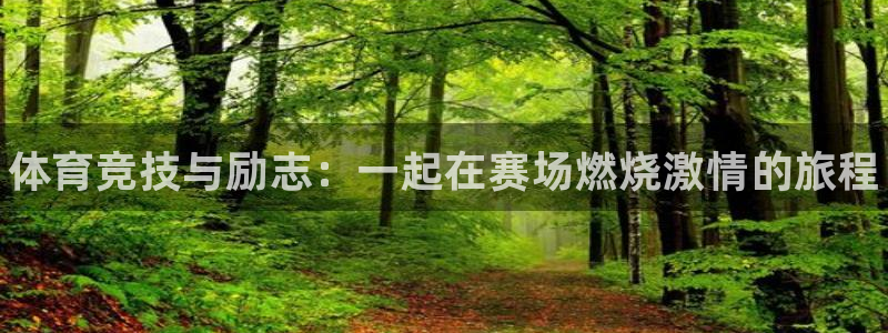 中山熊猫体育