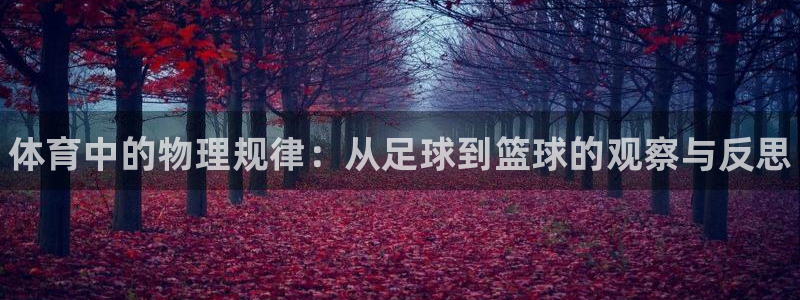 熊猫体育app官方入口