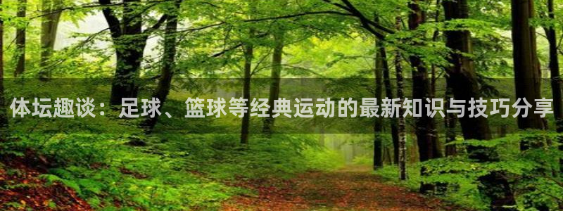 熊猫体育怎么样