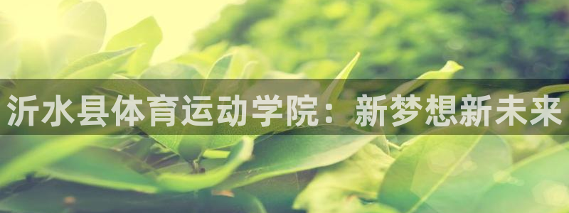 熊猫体育网站