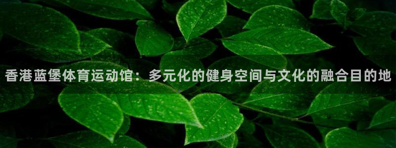熊猫体育app下载安装