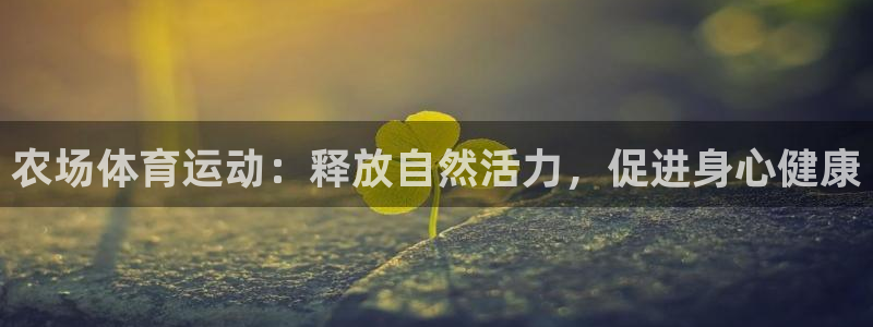 熊猫体育在线观看