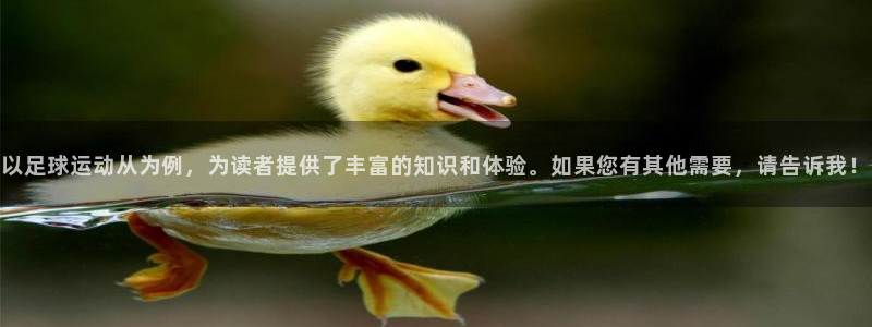 熊猫体育公园