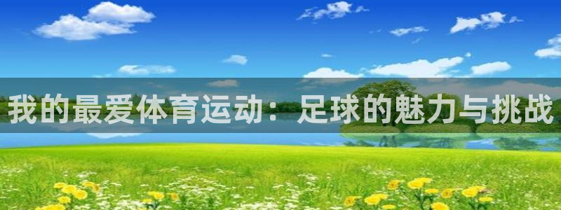熊猫体育app官方下载最新版