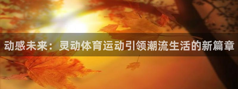 成都金熊猫体育
