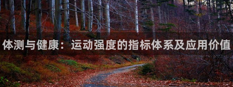 熊猫体育在线