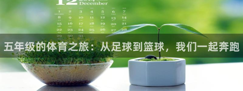 熊猫体育app下载安装