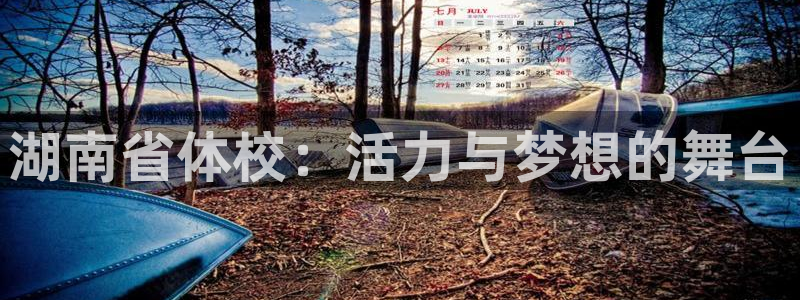 熊猫体育直播