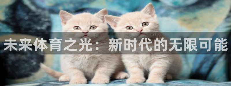 熊猫体育app下载安装
