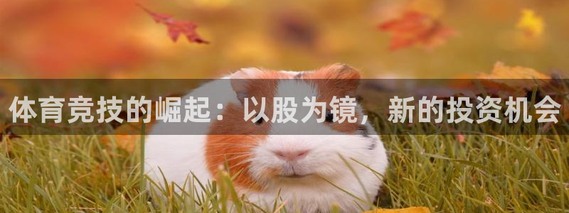 熊猫体育公园