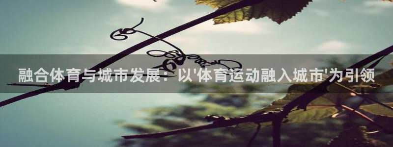 熊猫体育在线观看