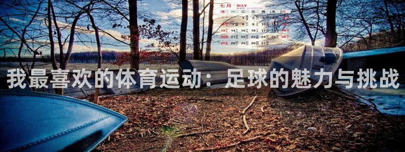 熊猫体育app官方下载最新版