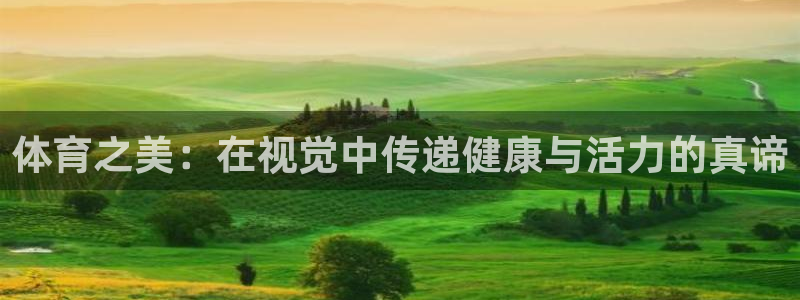 熊猫体育网址