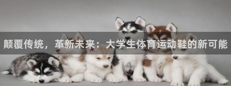 熊猫体育v3.新网页.org