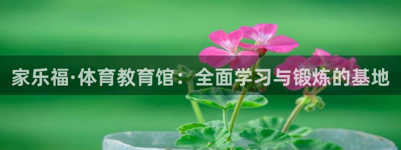 181熊猫体育