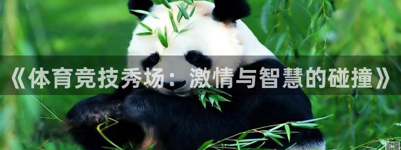 成都熊猫体育公园