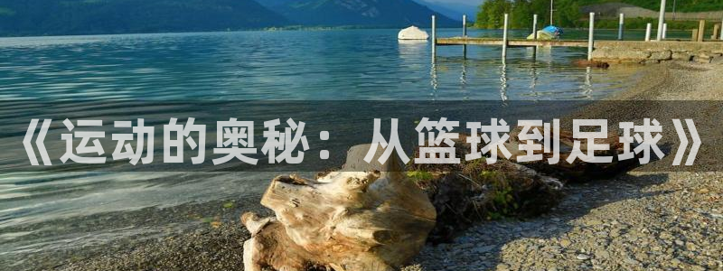 熊猫体育官方网站