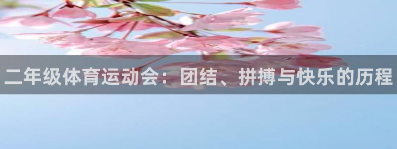 熊猫体育免费下载