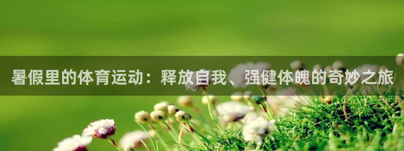 成都金熊猫体育