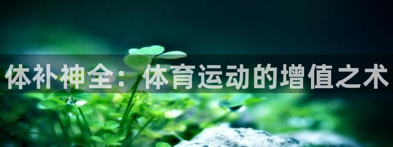 动感熊猫体育公园