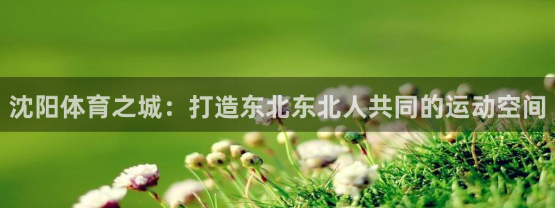 熊猫体育直播nba