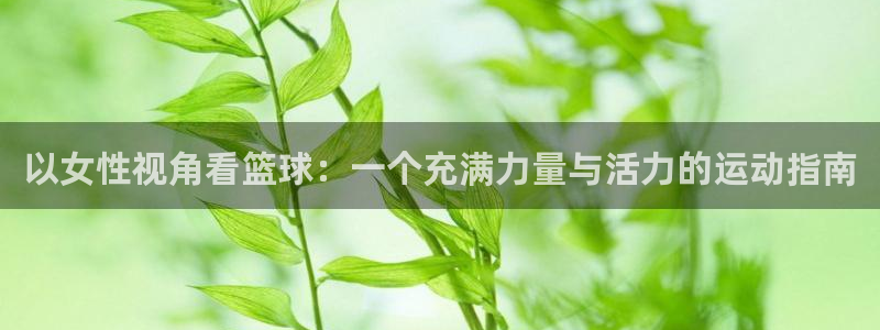 熊猫体育平台